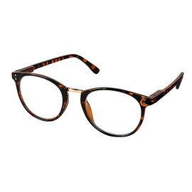 GAFAS LECTURA HIGHLIGHT +2.5