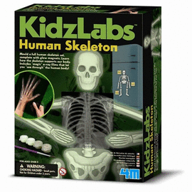 JUEGO 4M GLOW HUMAN SKELETON CIENCIA