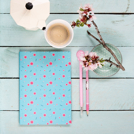 CUADERNO �STARS�
