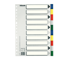 SEPARADORES PLASTICO F� JUEGO/10 MULTITALADRO. ESSELTE