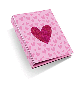 CARPETA 4 ANILLAS 40MM LUREX AGATHA RUIZ DE LA PRADA