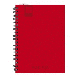 AGENDA ESCOLAR 8� DEVIL D�A P�GINA 16-17