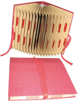 CARPETA CLASIFICADORA DOSIER ACORDEON - FUELLE CON AZ