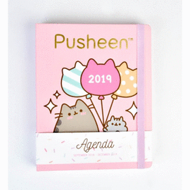 PUSHEEN THE CAT- AGENDA ESCOLAR 16 MESES 2018/2019 SEMANA VISTA . ERIK
