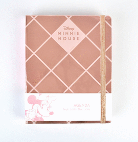 MINNIE AGENDA ESCOLAR 16 MESES 2018/2019 SEMANA VISTA. ERIK