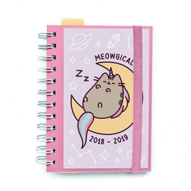 AGENDA ESCOLAR 2018/2019 DP WIRE-O PUSHEEN THE CAT. ERIK