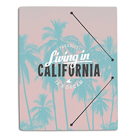 CARPETA CLASIFICADORA CALIFORNIA. ERIK