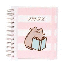 AGENDA ESCOLAR 2019/2020 DP M PUSHEEN GOLD