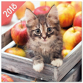 CALENDARIO 2018 30X30 CHANTRENNE CAT