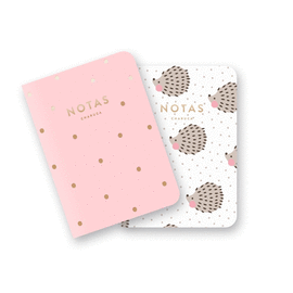 SET DE DOS LIBRETAS DE BOLSILLO. ROSA Y ERIZOS - CHARUCA