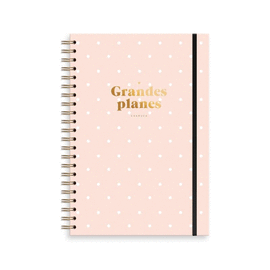CHARUCA GRANDES PLANES SALM�N. MENSUAL