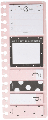 SET DE NOTAS ADHESIVAS CON DISE�O PINK, COLOR ROSA - CHARUCA
