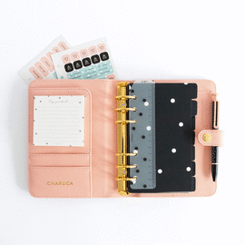 PLANNER PERSONAL. A6. ROSA TOPOS. CHARUCA