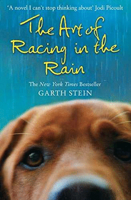 THE ART OF RACING IN THE RAIN