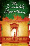 THE INVISIBLE MOUNTAIN