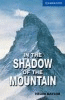 THE MOUNTAIN SHADOW