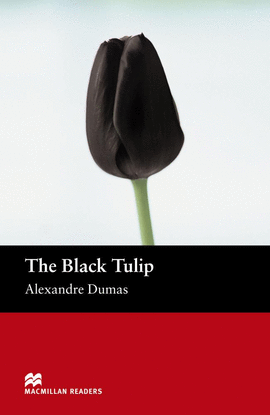 MR (B) BLACK TULIP, THE