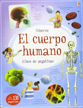 EL CUERPO HUMANO