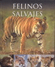 FELINOS SALVAJES