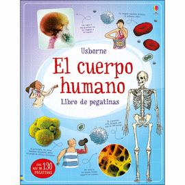 EL CUERPO HUMANO