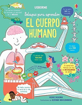 EL CUERPO HUMANO CON SOLAPAS