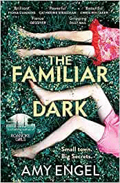 THE FAMILIAR DARK