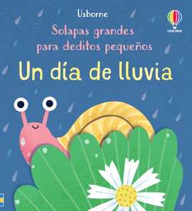 UN DA DE LLUVIA