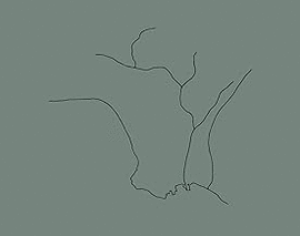 THE WESTERN EDGE