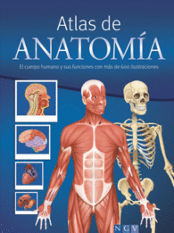ATLAS DE ANATOMIA (R)