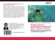 PRADERA MARINA Y MACROEPIFAUNA M�VIL EN LA BAH�A TRIGAN�, COLOMBIA