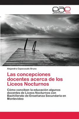 LAS CONCEPCIONES DOCENTES ACERCA DE LOS LICEOS NOCTURNOS