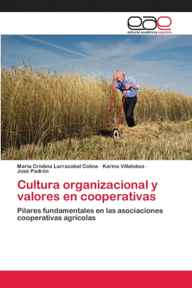 CULTURA ORGANIZACIONAL Y VALORES EN COOPERATIVAS