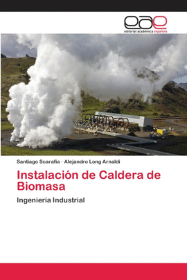 INSTALACI�N DE CALDERA DE BIOMASA