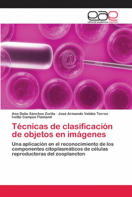 T�CNICAS DE CLASIFICACI�N DE OBJETOS EN IM�GENES