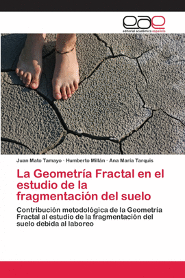 LA GEOMETRA FRACTAL EN EL ESTUDIO DE LA FRAGMENTACIN DEL SUELO