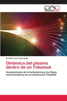 DIN�MICA DEL PLASMA DENTRO DE UN TOKAMAK