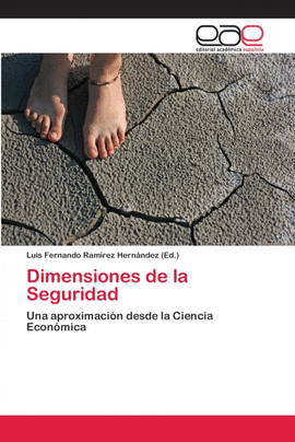 DIMENSIONES DE LA SEGURIDAD