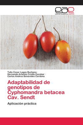 ADAPTABILIDAD DE GENOTIPOS DE CYPHOMANDRA BETACEA CAV. SENDT