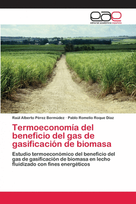 TERMOECONOMA DEL BENEFICIO DEL GAS DE GASIFICACIN DE BIOMASA