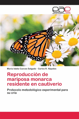 REPRODUCCI�N DE MARIPOSA MONARCA RESIDENTE EN CAUTIVERIO