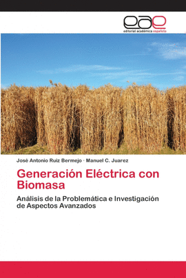 GENERACI�N EL�CTRICA CON BIOMASA