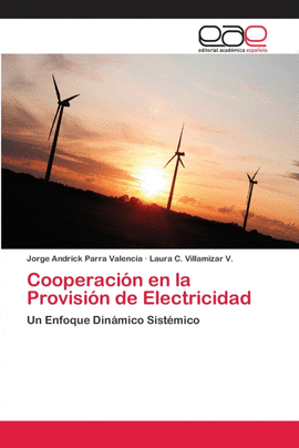 COOPERACI�N EN LA PROVISI�N DE ELECTRICIDAD