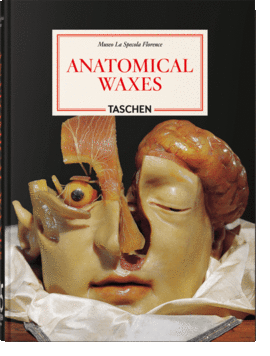 ANATOMICAL WAXES 45 ANIV.- INT.