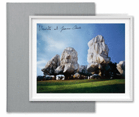 CHRISTO AND JEANNE-CLAUDE. WRAPPED TREES