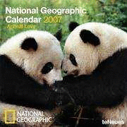 NG - ANIMAL LOVE GRID 30X30/ 07
