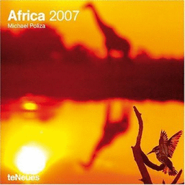 AFRICA GRID 30X30/ 07