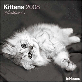 KITTENS GRID 30 X 30 / 08