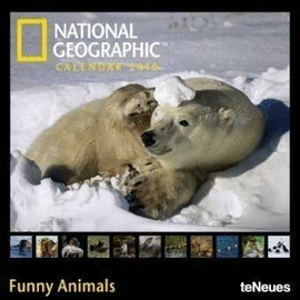 NG - FUNNY ANIMALS 30 X 30 CALENDARIO / 10
