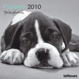 PUPPIES 30 X 30 CALENDARIO / 10