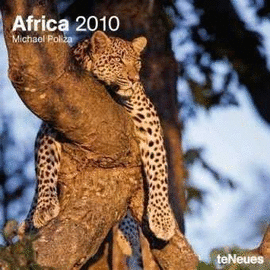 AFRICA 30 X 30 CALENDARIO / 10